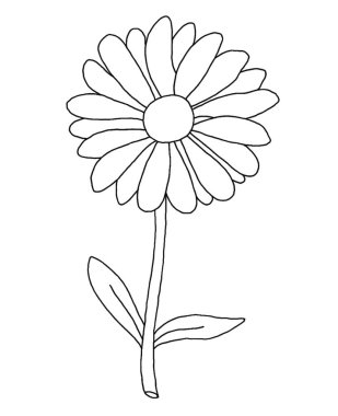 Beyaz arka planda papatya çiçeğinin ana hatları. vektör çizici