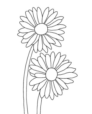 Beyaz arka planda papatya çiçeğinin ana hatları. vektör çizici