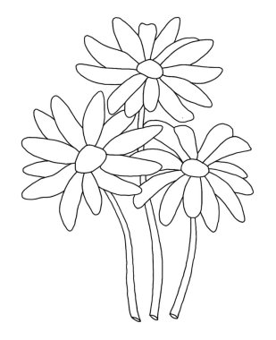 Beyaz arka planda papatya çiçeğinin ana hatları. vektör çizici