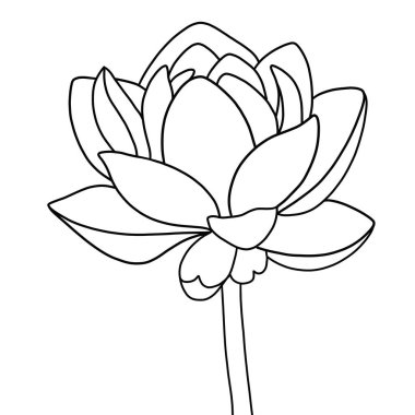 Beyaz arkaplanda lotus çiçeğinin ana hatları