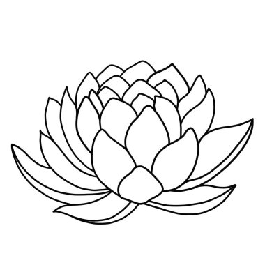 Beyaz arkaplanda lotus çiçeğinin ana hatları