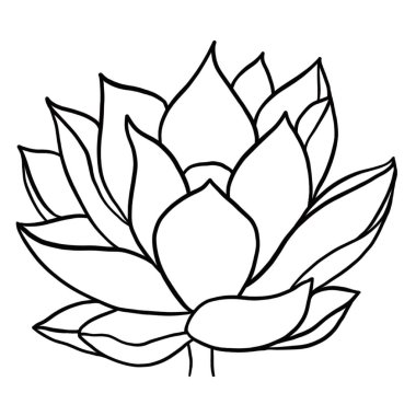 Beyaz arkaplanda lotus çiçeğinin ana hatları