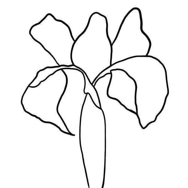 Contorno Flor Iris Sobre Fondo Blanco — Archivo Imágenes Vectoriales