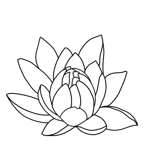 Beyaz arkaplanda lotus çiçeğinin ana hatları