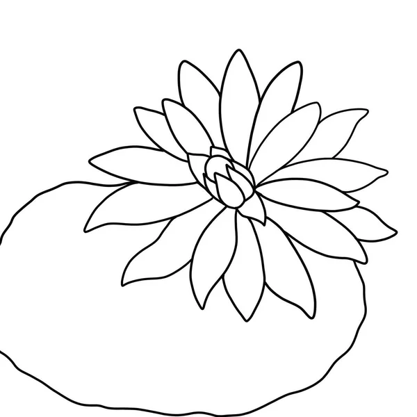 Beyaz arkaplanda lotus çiçeğinin ana hatları