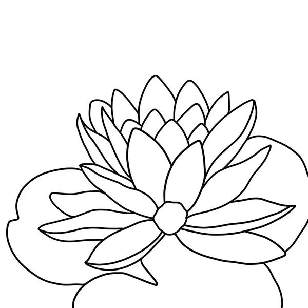 Beyaz arkaplanda lotus çiçeğinin ana hatları