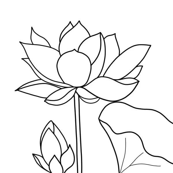 Περίγραμμα Λουλούδι Του Λωτού Λευκό Φόντο — Διανυσματικό Αρχείο