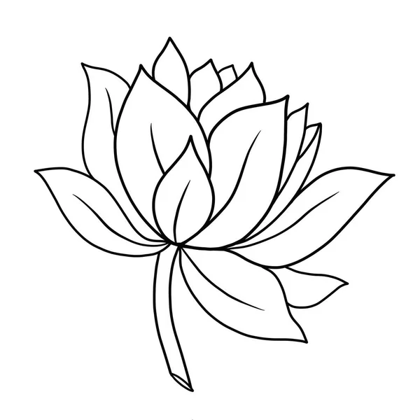 Zarys Kwiat Lotosu Białym Tle — Wektor stockowy