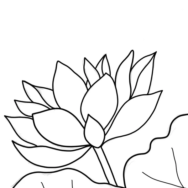 Contour Fleur Lotus Sur Fond Blanc — Image vectorielle