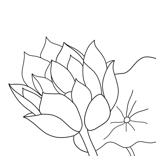 Περίγραμμα Λουλούδι Του Λωτού Λευκό Φόντο — Διανυσματικό Αρχείο