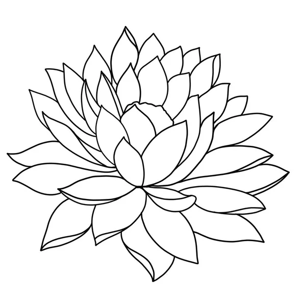 Контурна Квітка Лотоса Білому Тлі — стоковий вектор