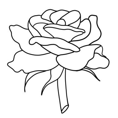 Beyaz arkaplanda gülün ana hatları
