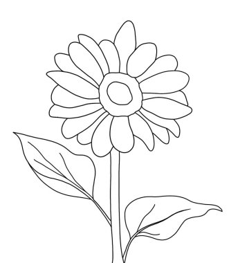 Beyaz arkaplanda ayçiçeğinin ana hatları