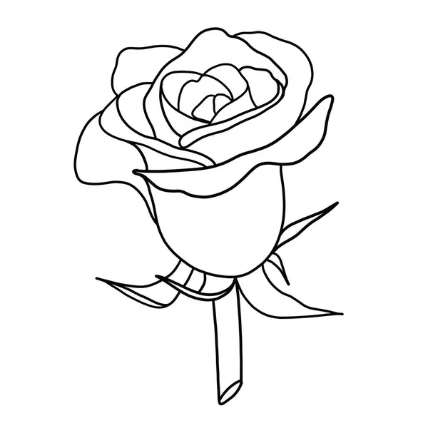 Contour Fleur Rose Sur Fond Blanc — Image vectorielle