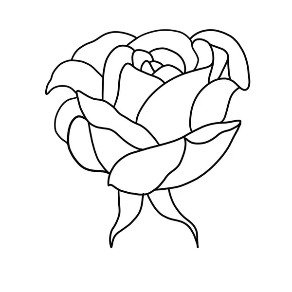 Outline Bunga Mawar Pada Latar Belakang Putih - Stok Vektor