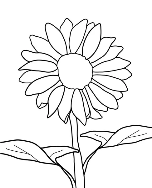 Outline Flower Sunflower White Background — Stock Vector