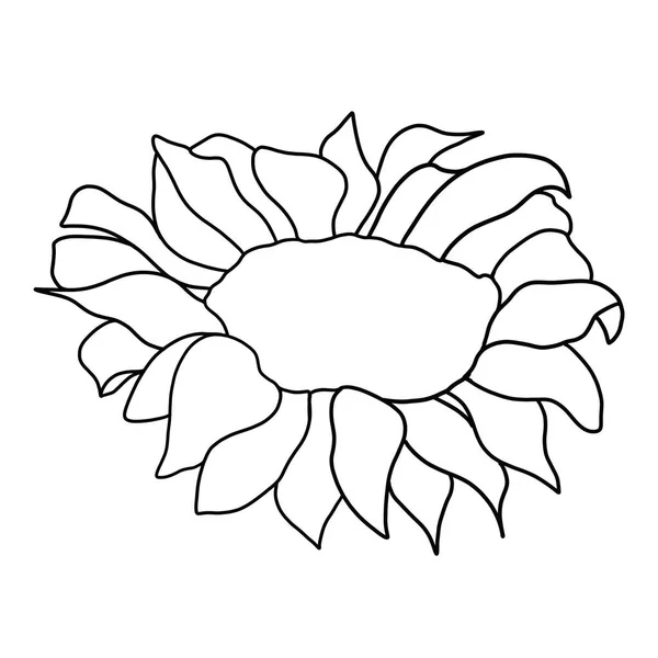 Zarys Kwiat Słonecznika Białym Tle — Wektor stockowy