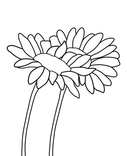 Umriss Blume Der Sonnenblume Auf Weißem Hintergrund — Stockvektor