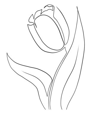 Güzel bir nilüfer çiçeğinin vektör çizimi