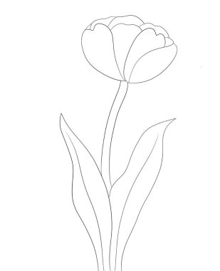 Çiçeklerin vektör çizimi, illüstrasyon, güzel çiçek.