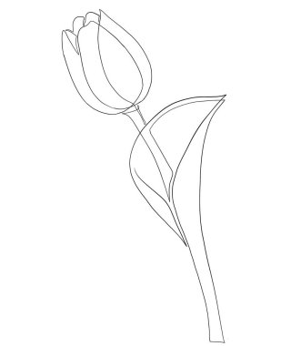 Çiçeklerin vektör çizimi, illüstrasyon, güzel çiçek.