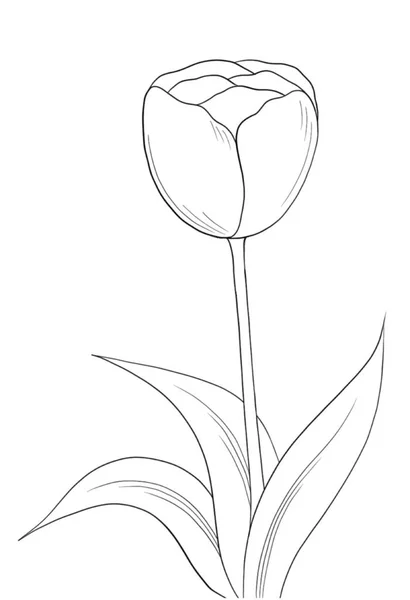 Illustration Vectorielle Seul Élément Floral Isolé — Image vectorielle