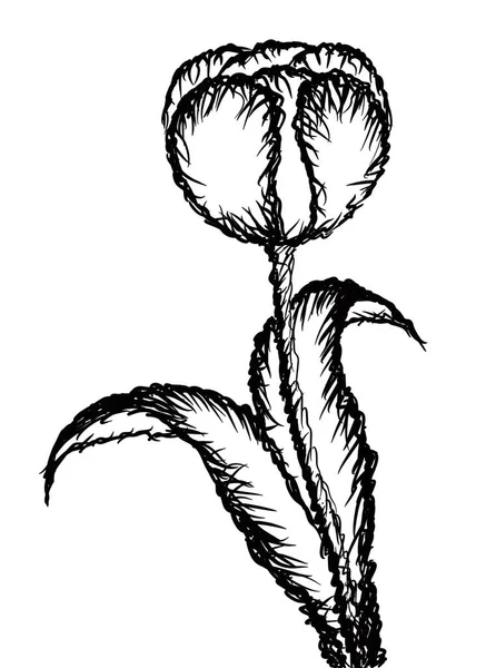 Ασπρόμαυρο Σχέδιο Λουλουδιού — Διανυσματικό Αρχείο
