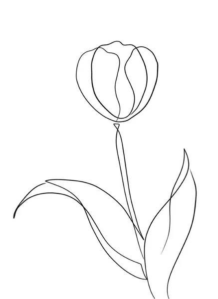 一种美丽的植物花的向量图 — 图库矢量图片