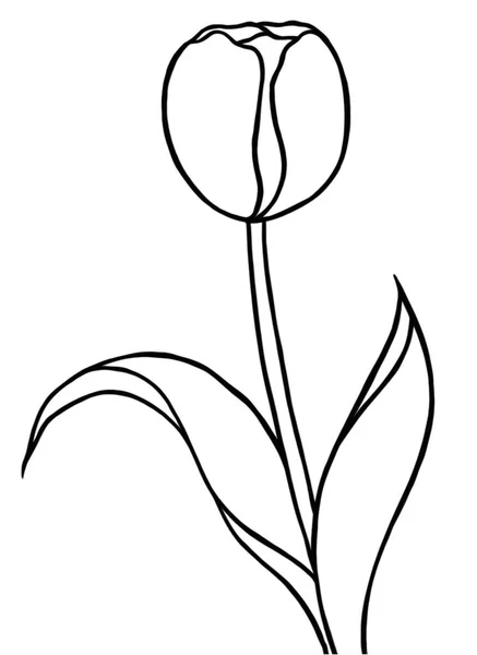 Bir Çiçeğin Siyah Beyaz Vektör Çizimi — Stok Vektör