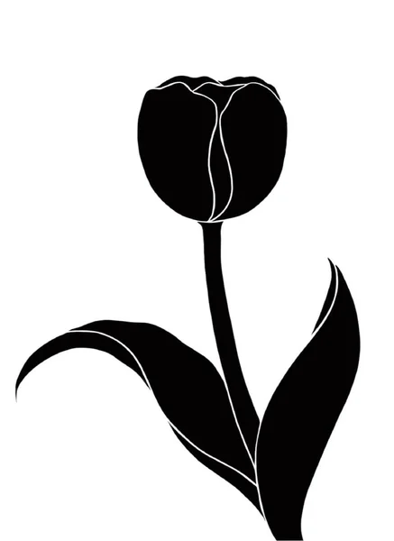 bir çiçeğin siyah ve beyaz vektör çizimi
