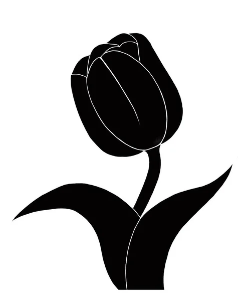 Güzel bir çiçeğin vektör çizimi