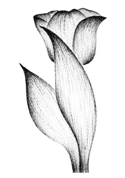 Красивий Ботанічний Знімок Натуральні Шпалери — стоковий вектор