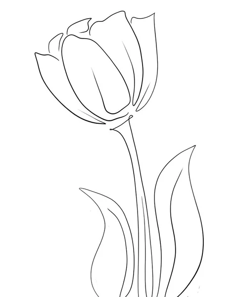 Vektor Sketsa Bunga Ilustrasi Bunga Yang Indah - Stok Vektor