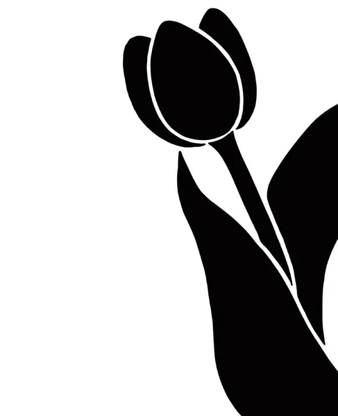 Çiçeklerin vektör çizimi, illüstrasyon, güzel çiçek.