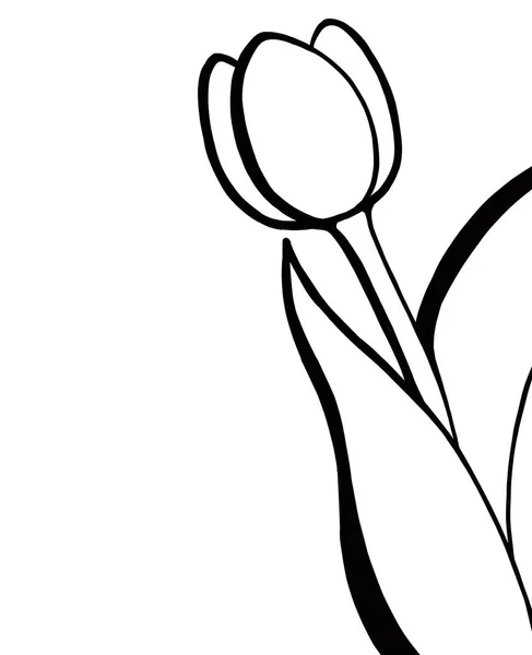 Çiçeklerin vektör çizimi, illüstrasyon, güzel çiçek.