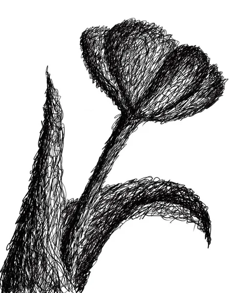 Vektorový Náčrt Květin Ilustrace Krásná Květina — Stockový vektor