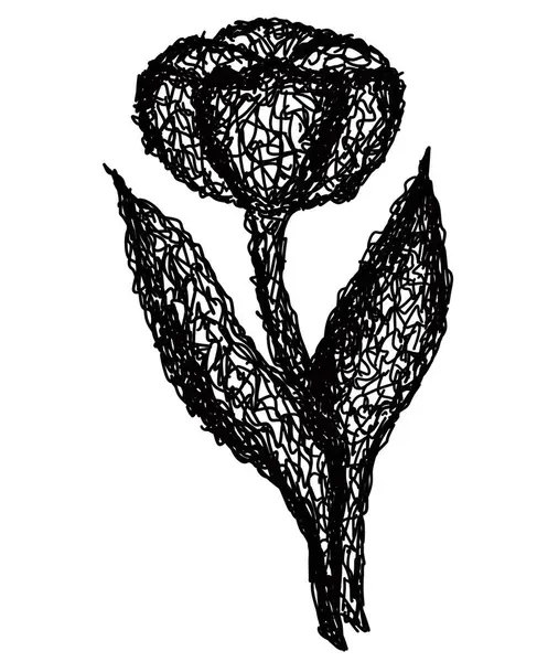花のベクトルスケッチイラスト美しい花 — ストックベクタ