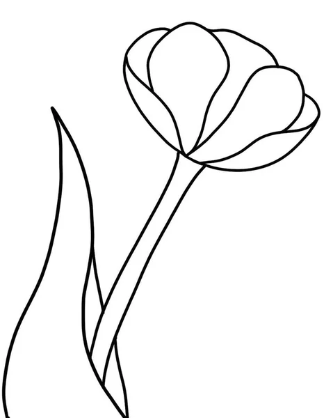 Çiçeklerin Vektör Çizimi Illüstrasyon Güzel Çiçek — Stok Vektör