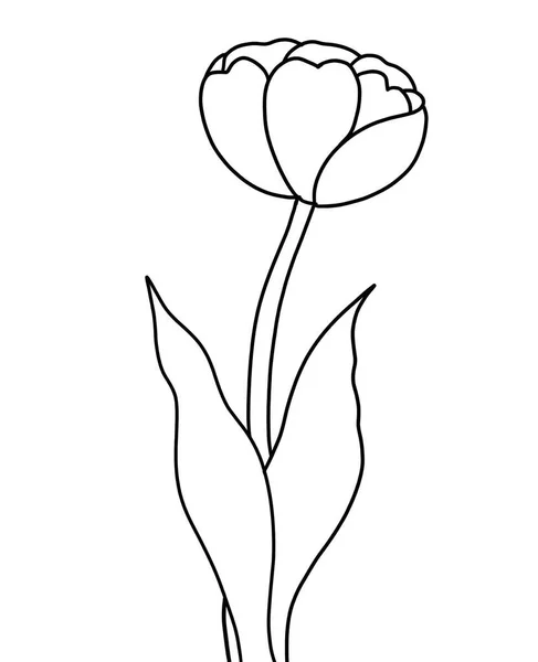 Διανυσματικό Σκίτσο Των Λουλουδιών Εικονογράφηση Όμορφο Λουλούδι — Διανυσματικό Αρχείο