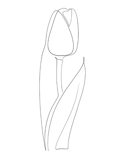 Çiçeklerin vektör çizimi, illüstrasyon, güzel çiçek.