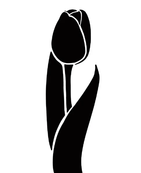 Çiçeklerin vektör çizimi, illüstrasyon, güzel çiçek.