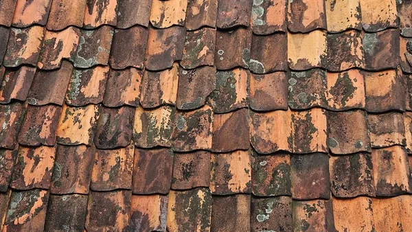 kahverengi kiremit doku arka plan