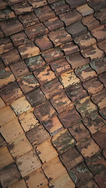 Eski kahverengi karoların dokusunu kapat