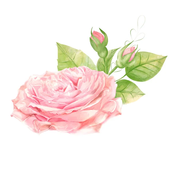 Ботанічна Композиція Весілля Або Листівки Гілка Квітів Абстракція Троянд Романтичний — стокове фото