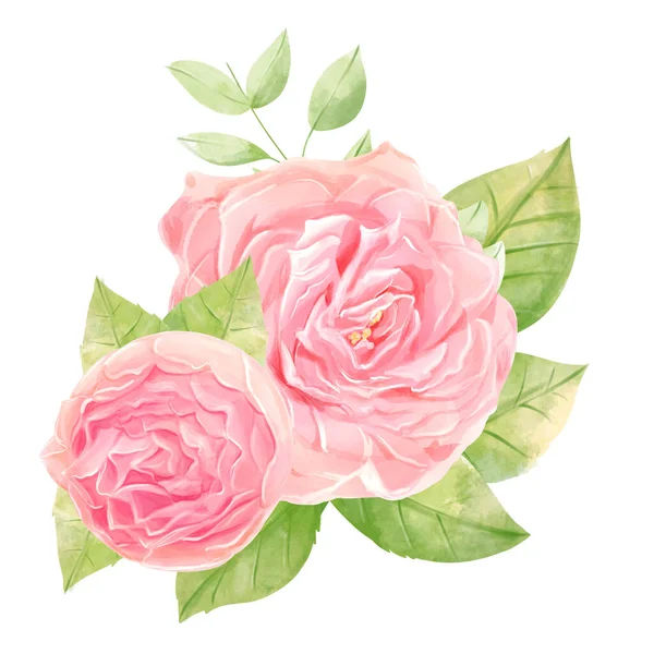 Υδατογραφία Τριαντάφυλλα Σύνθεση Μπουκέτο Ρομαντικό Στυλ — Φωτογραφία Αρχείου