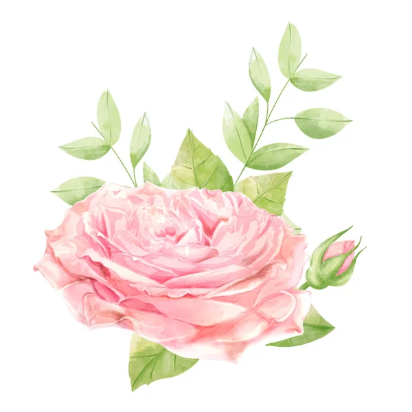 Квіткова Акварельна Ілюстрація Букет Ніжними Трояндами Листівок Весільний Дизайн — стокове фото