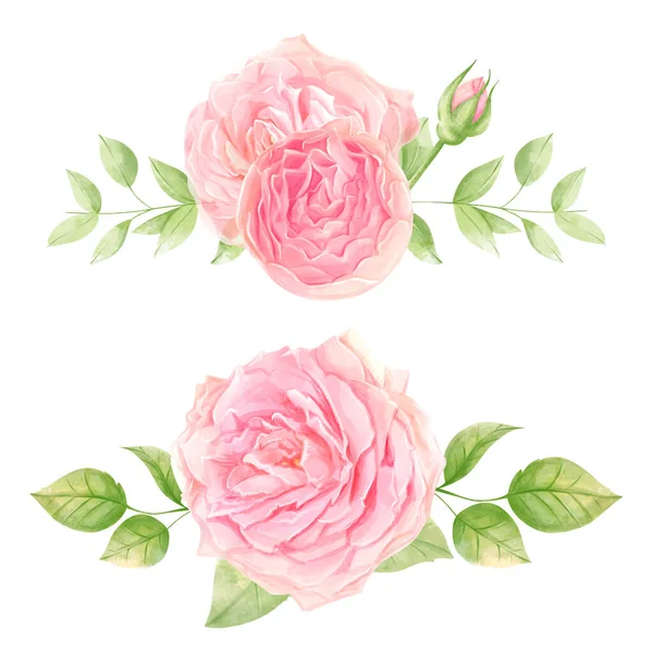 Roses Watercolor Illustration Delicate Romantic Flowers Decoration — Stock Photo, Image