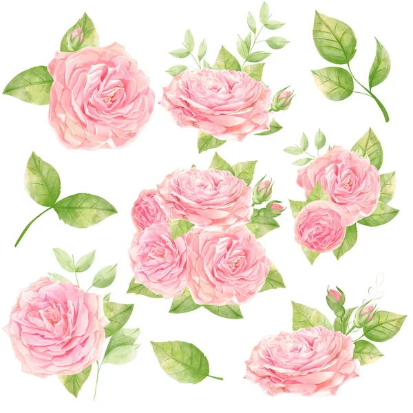 Beatuful Watercolor Roses Bouquets Wedding Clipart Floral Set — Stock Photo, Image