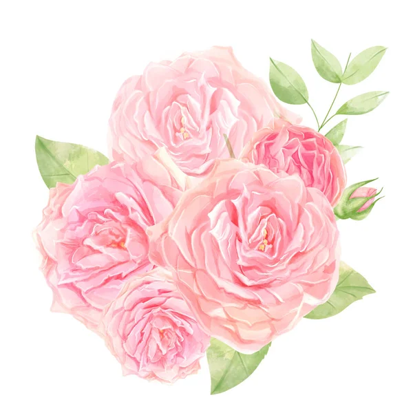 Υδατογραφία Απεικόνιση Ενός Ντελικάτου Ροζ Τριαντάφυλλου Διακοσμητικά Φύλλα — Φωτογραφία Αρχείου