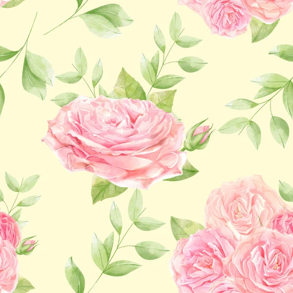 Прекрасні Квіти Акварельні Рожеві Троянди Візерунок Кремового Фону — стокове фото